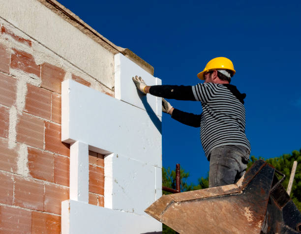 Best Fiberglass Insulation  in Cold Spring, KY