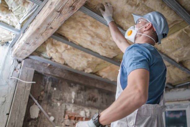 Best Spray Foam Insulation  in Cold Spring, KY