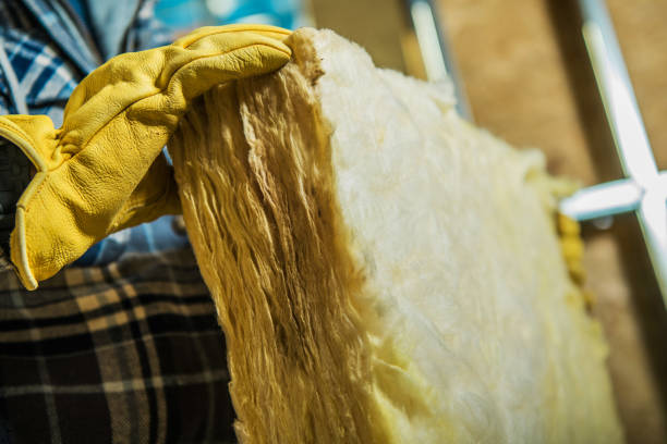 Best Best Insulation Companies  in Cold Spring, KY