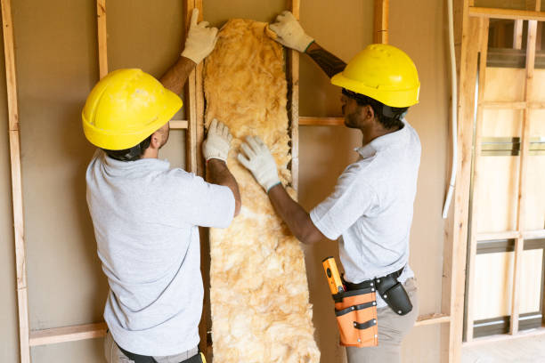 Best Commercial Insulation Contractor  in Cold Spring, KY