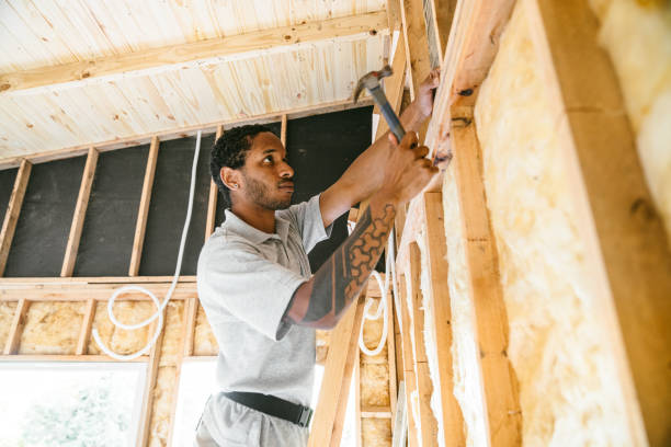 Best Local Insulation Services  in Cold Spring, KY