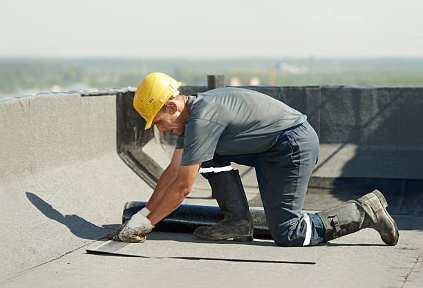 Best Affordable Insulation Services  in Cold Spring, KY