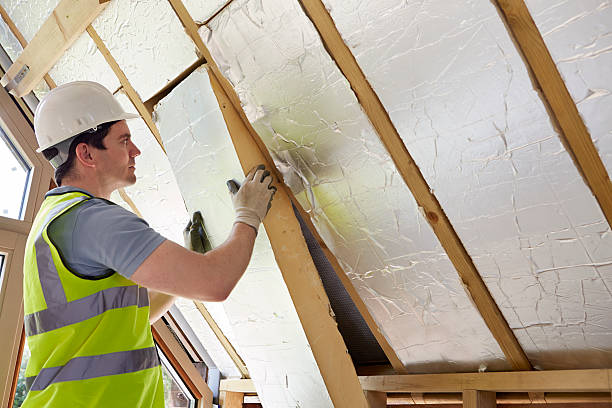 Best Cellulose Insulation  in Cold Spring, KY